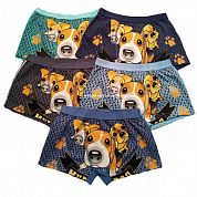 �����-������� �� ��������� "�����"